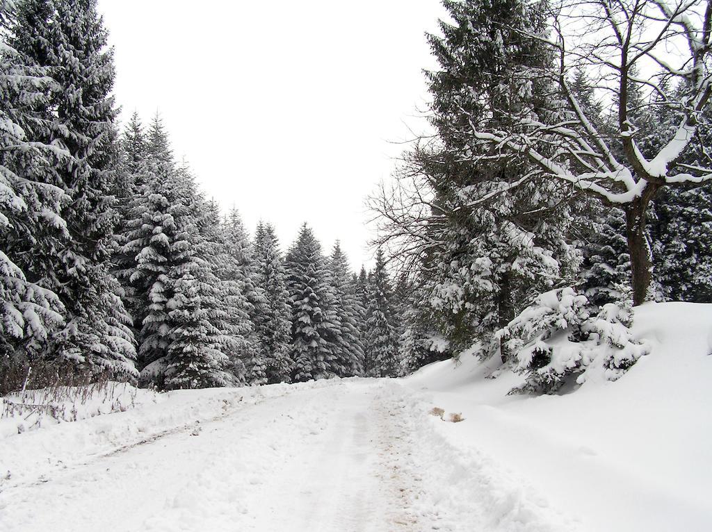 Villa Ignatyeva Skhidnytsia エクステリア 写真